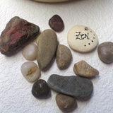 Standard Zen Garden - OOAK - From the Forest Floor II