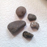 Standard Zen Garden - OOAK - The Gull